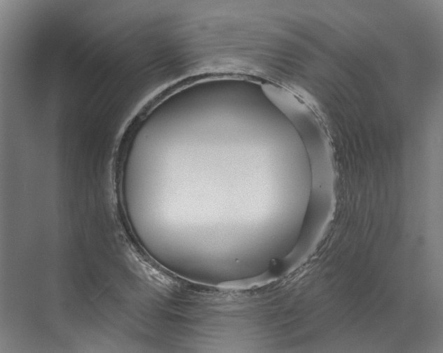 X0000073521120200608281726