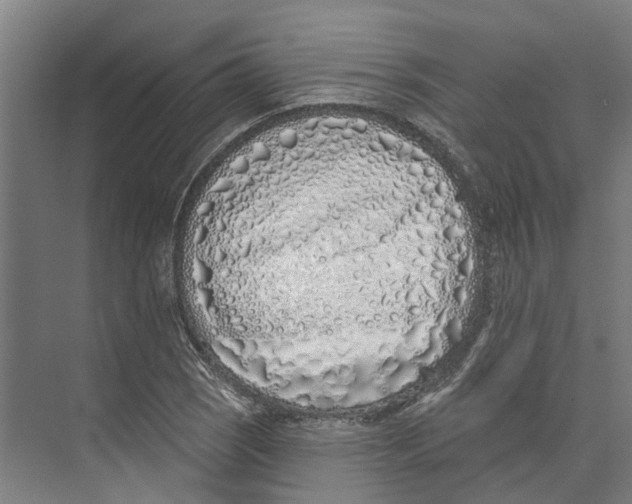 X0000073521121200608281726