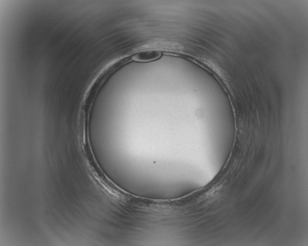 X0000073521123200608281726