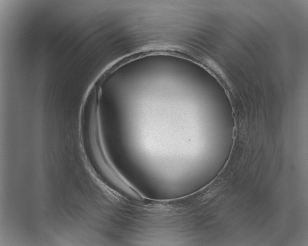 X0000073521124200608281726