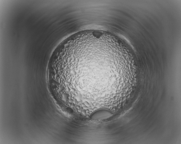 X0000073521125200608281726