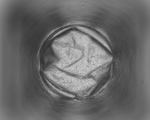 X0000073521127200608281726