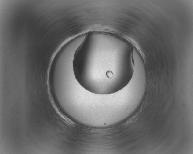 X0000073521128200608281726