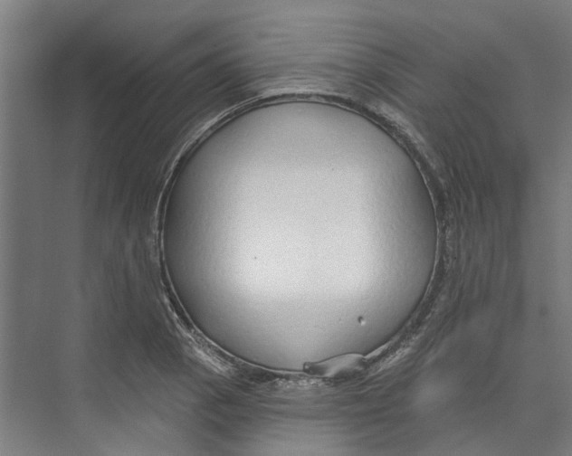 X0000073521129200608281726