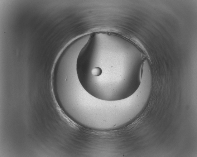 X0000073521132200608281726