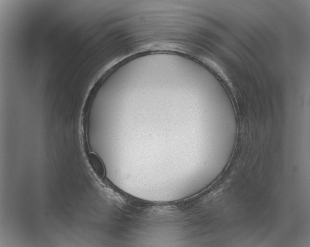 X0000073521133200608281726