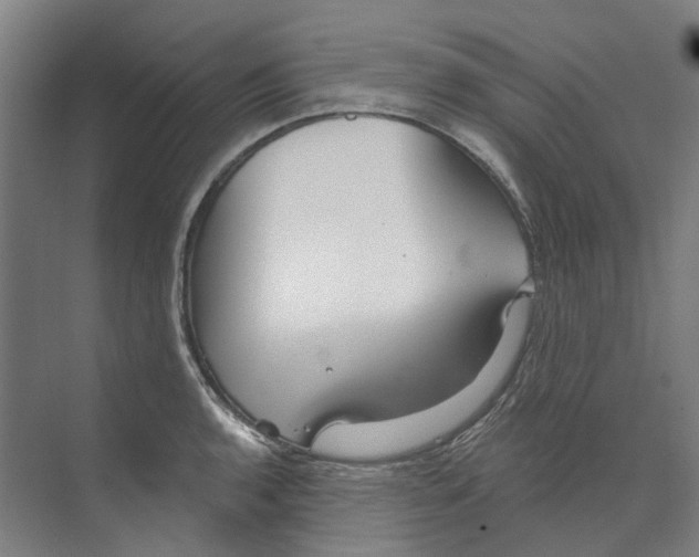 X0000073521136200608281726