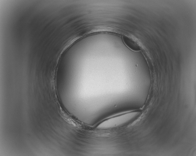 X0000073521137200608281726