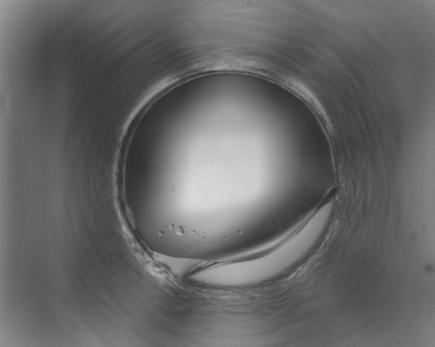 X0000073521138200608281726