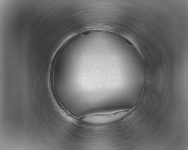 X0000073521139200608281726