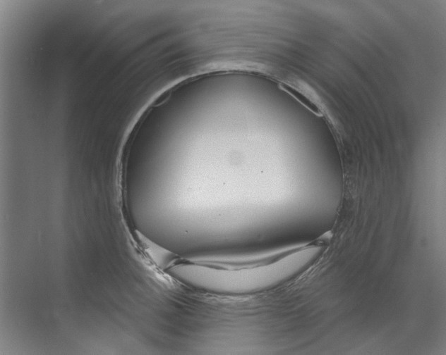 X0000073521140200608281726