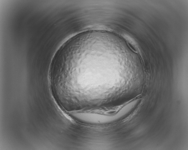 X0000073521141200608281726