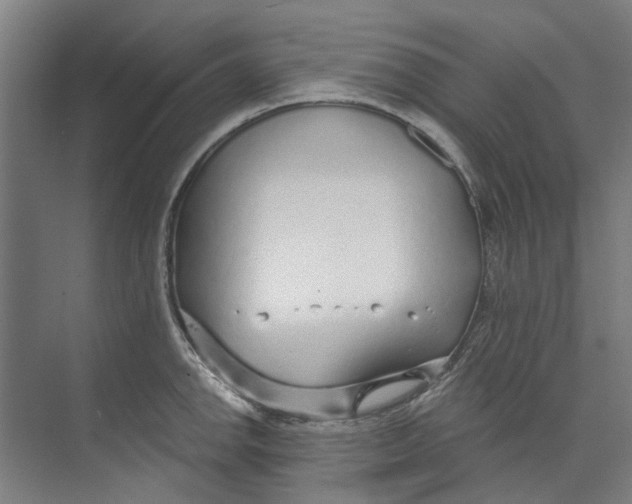 X0000073521142200608281726