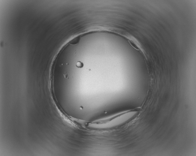 X0000073521143200608281726