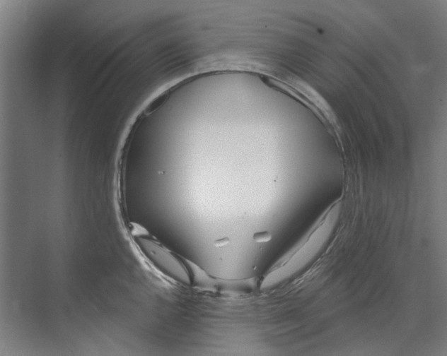 X0000073521144200608281726