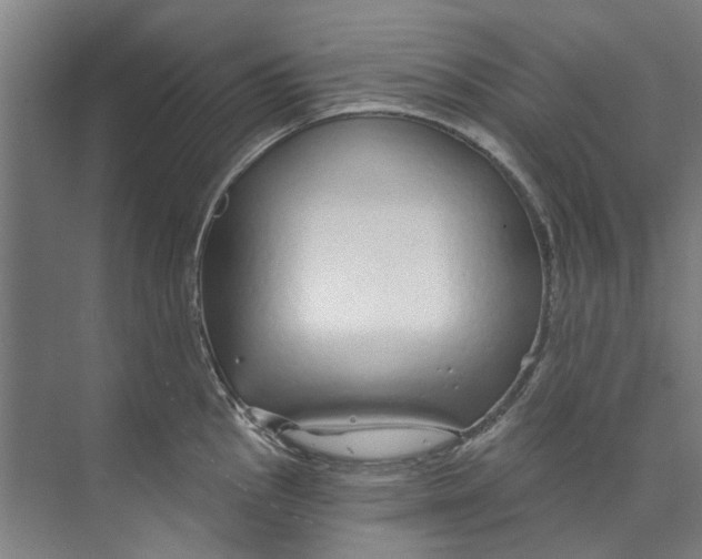 X0000073521145200608281726