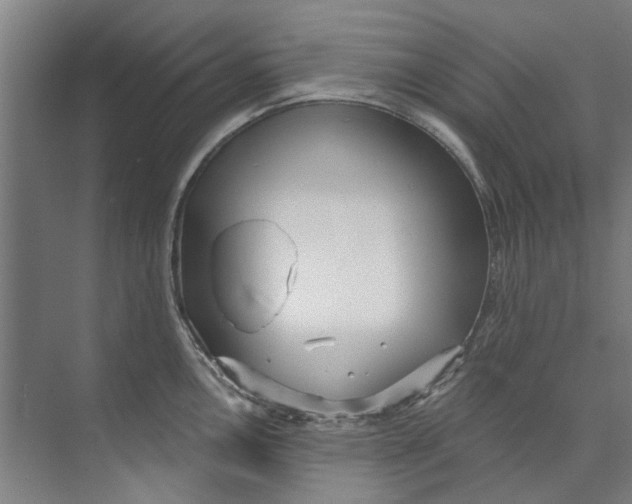 X0000073521146200608281726