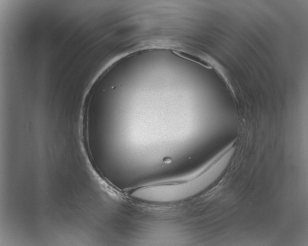 X0000073521147200608281726