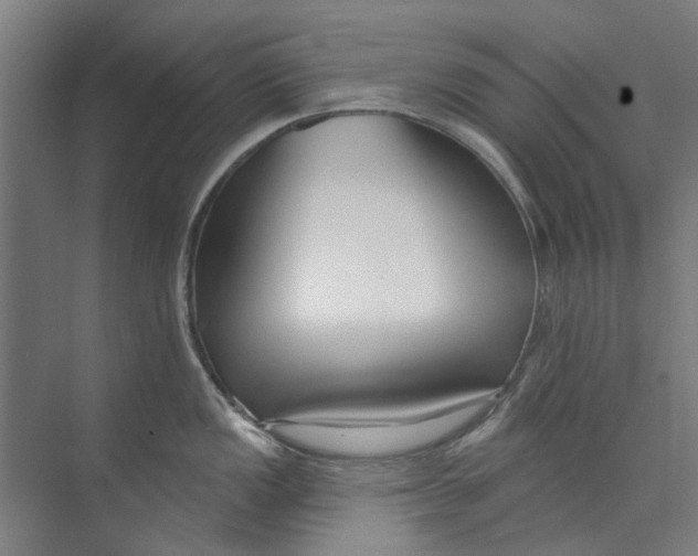 X0000073521149200608281726