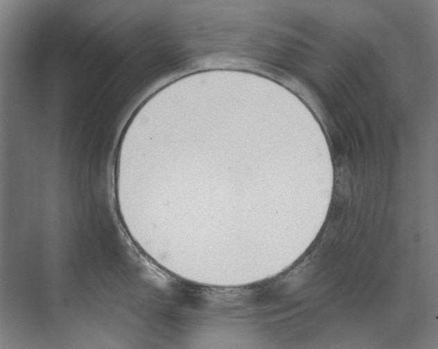 X0000073521150200608281726