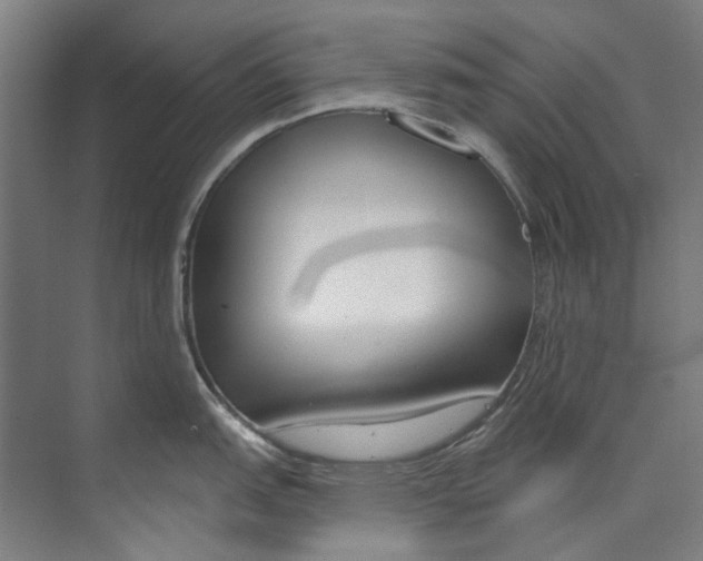 X0000073521151200608281726