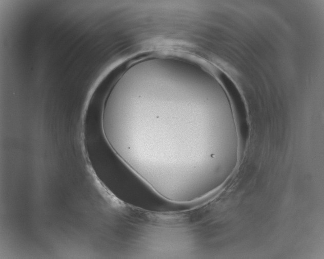 X0000073521152200608281726