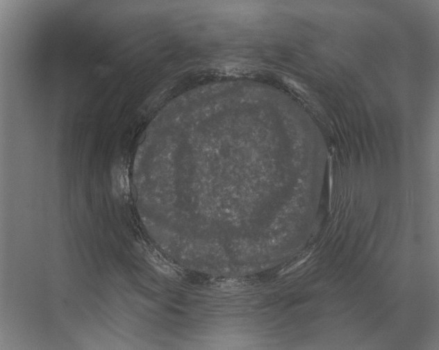 X0000073521155200608281726