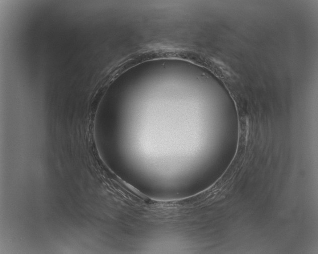 X0000073521157200608281726