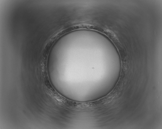 X0000073521159200608281726