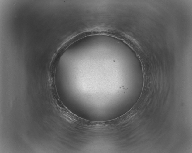 X0000073521160200608281726