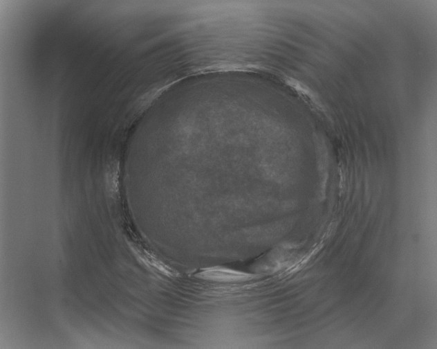 X0000073521161200608281726