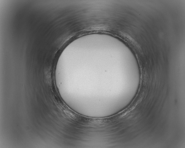 X0000073521162200608281726