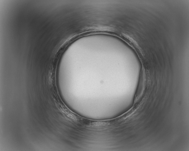 X0000073521163200608281725