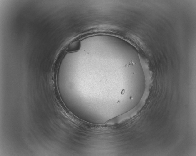 X0000073521164200608281725