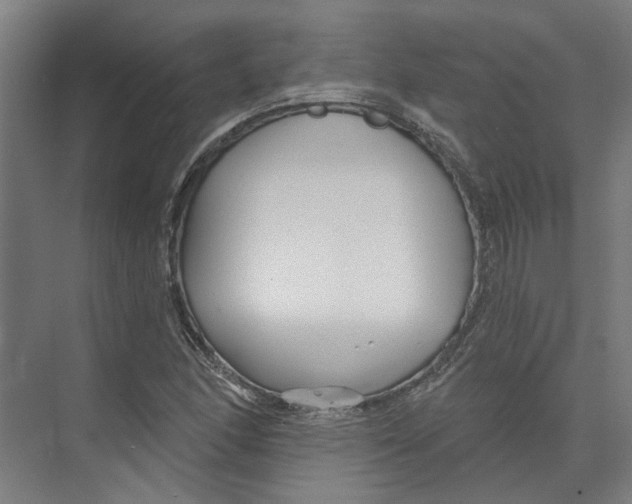 X0000073521166200608281725