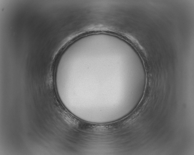 X0000073521167200608281725