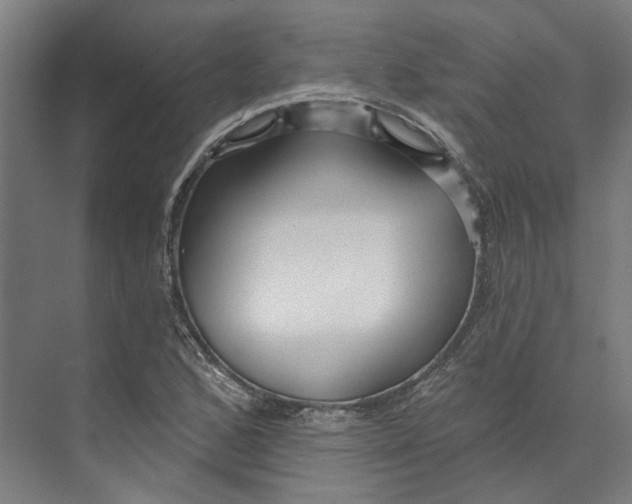 X0000073521168200608281725