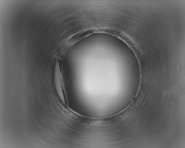 X0000073521169200608281725