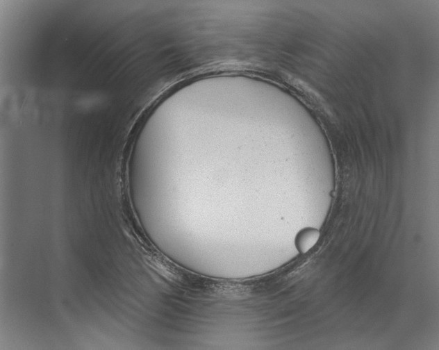 X0000073521170200608281725