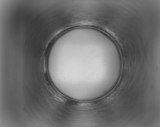 X0000073521171200608281725