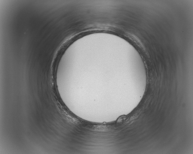 X0000073521172200608281725