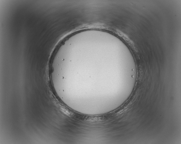 X0000073521174200608281725