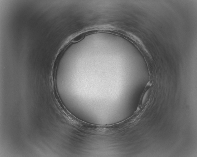 X0000073521176200608281725