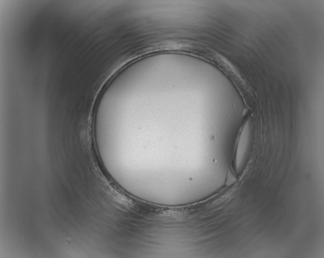 X0000073521178200608281725