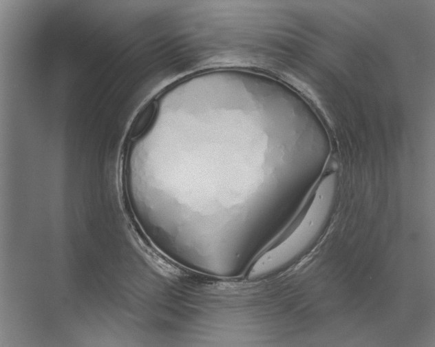 X0000073521179200608281725