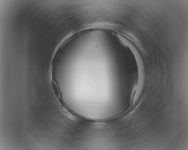 X0000073521180200608281725