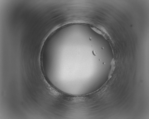 X0000073521181200608281725