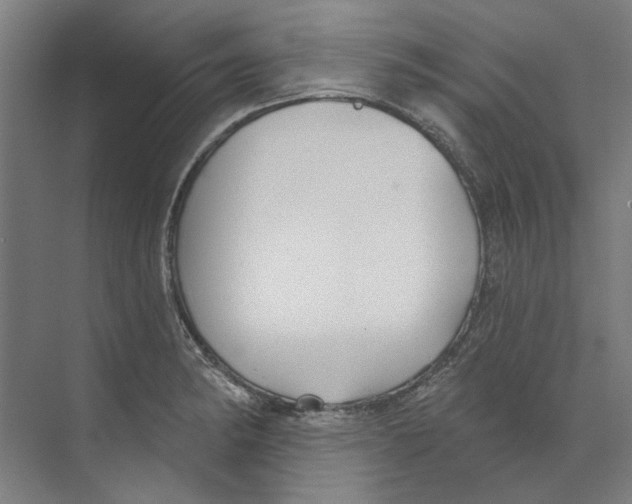 X0000073521182200608281725