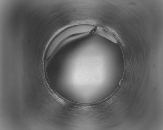 X0000073521184200608281725