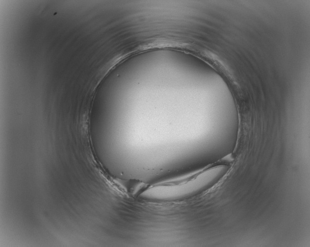 X0000073521185200608281725